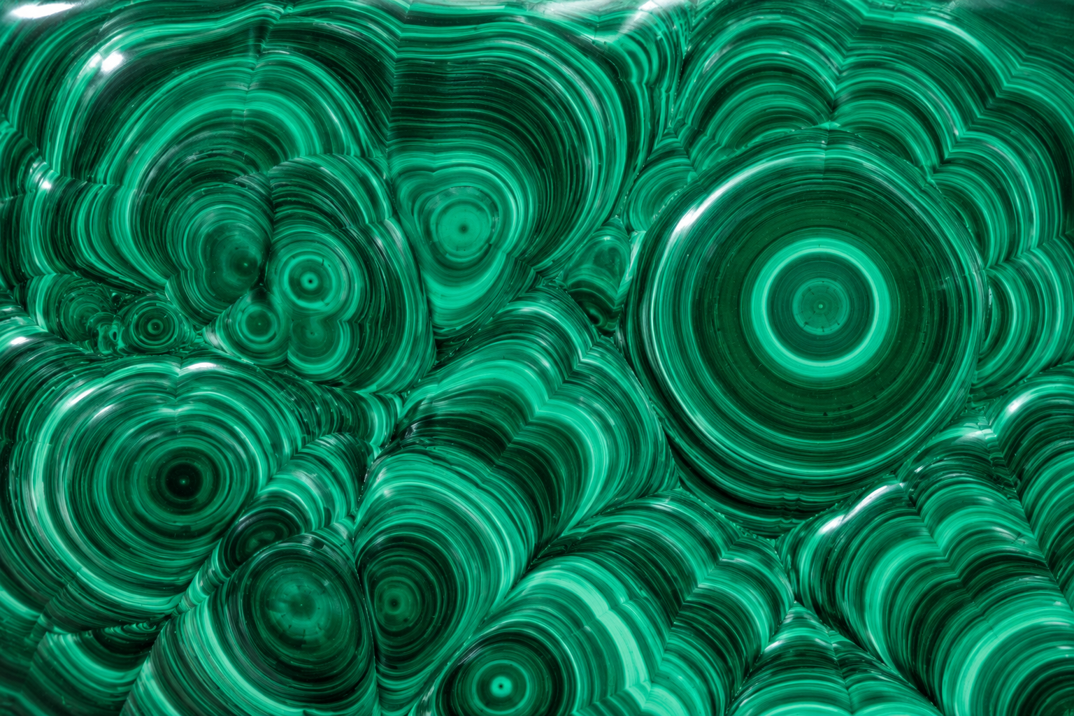 Specialized Care